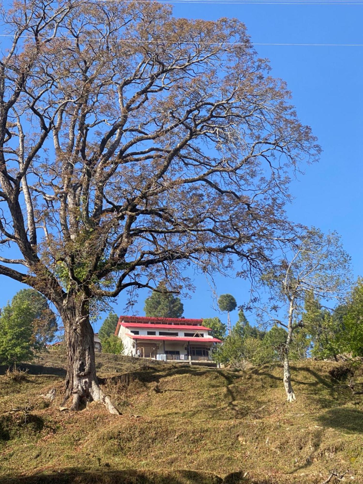 Little Frida- The Dak Bungalows Mukteshwar Exterior foto